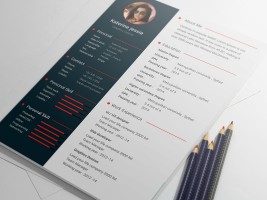 free psd resume cv template download