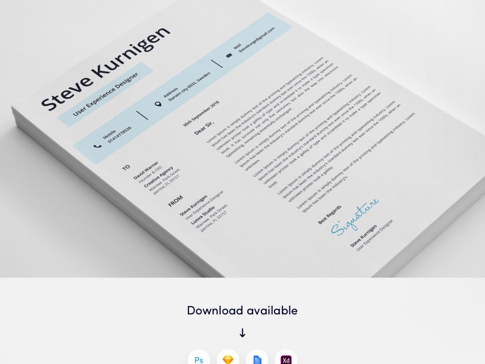 3. 3 page Designer CV/Resume Template