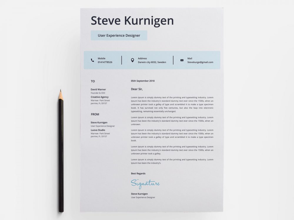 Designer Minimal CV/ Resume Template