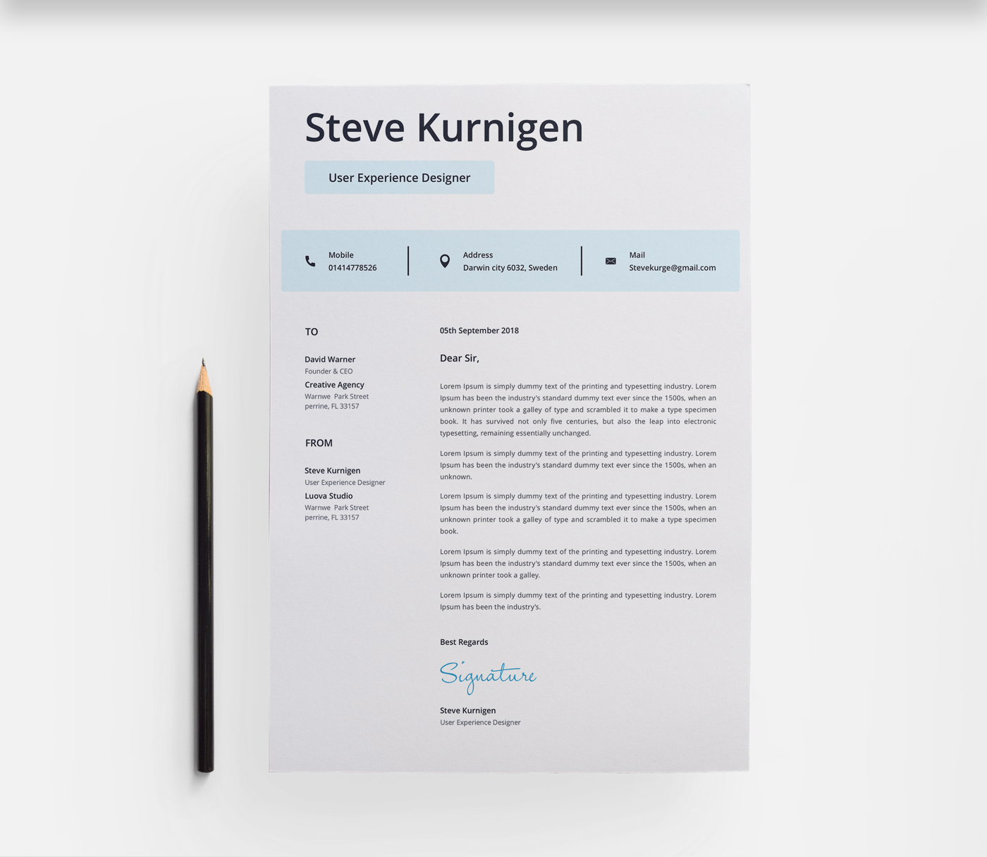 Designer Minimal CV/ Resume Template